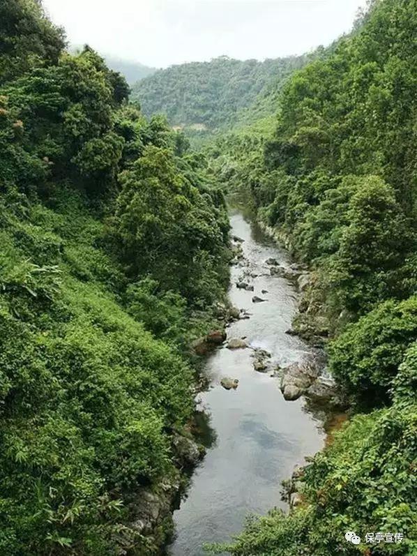 坦克连